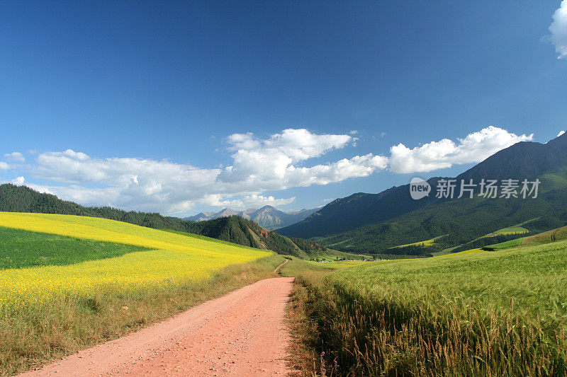 蜿蜒的道路