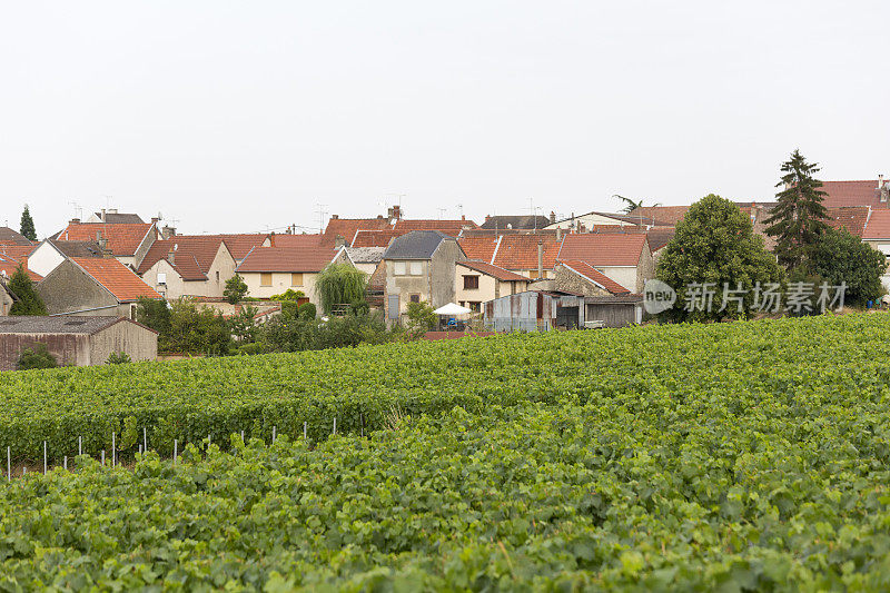 法国香槟区，欧洲夏日葡萄酒之乡