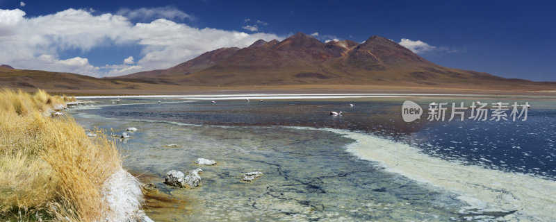 一个阳光明媚的日子，玻利维亚高原的拉古纳卡纳帕沙漠湖
