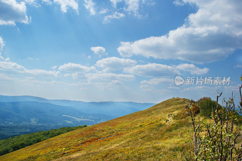 夏天山景观