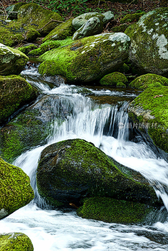 山溪和苔藓覆盖的岩石