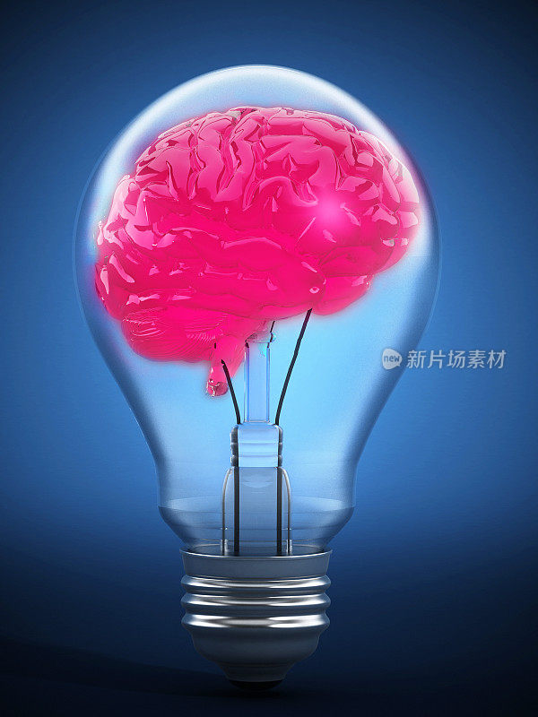 大脑里面的灯泡