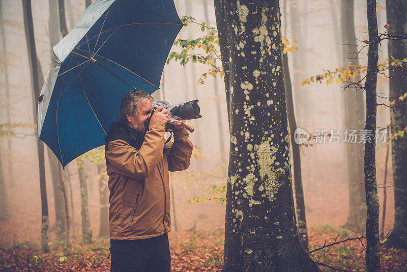 在欧洲秋日山毛榉林中，带伞的老人拍照