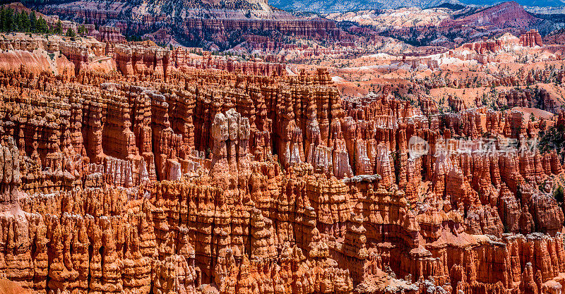 犹他州布莱斯峡谷国家公园五颜六色的胡毒岩。
