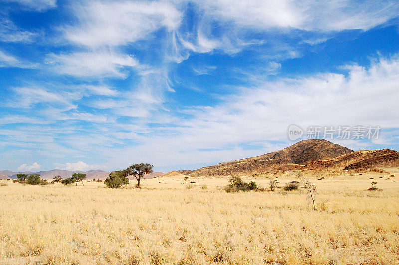 俯瞰纳米比亚的大草原