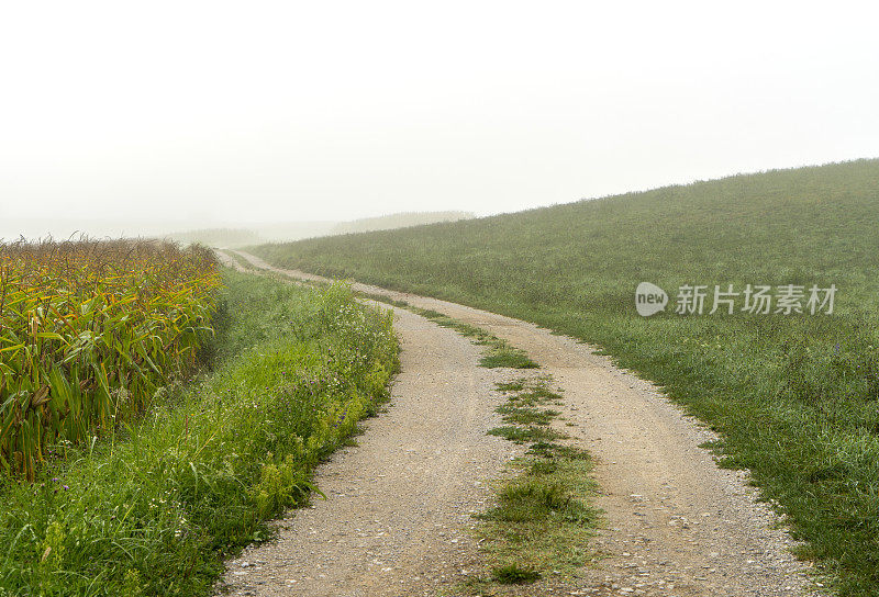 斯洛文尼亚的乡村公路