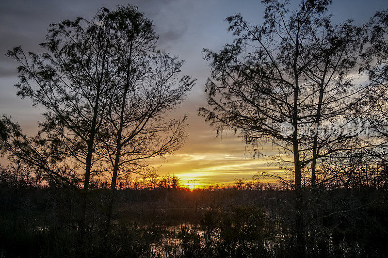 路易斯安那沼泽的日落