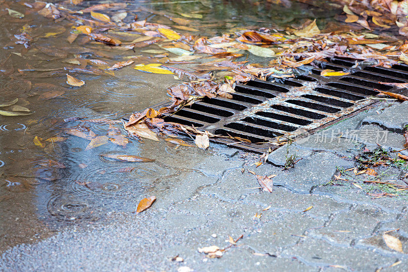 下雨天，沥青路上的金属下水道格栅和秋叶