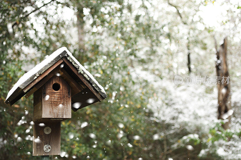 冬天的雪落在室外景观与鸟舍。