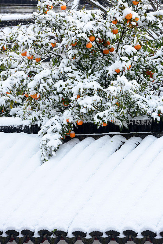 长江以南正在下雪