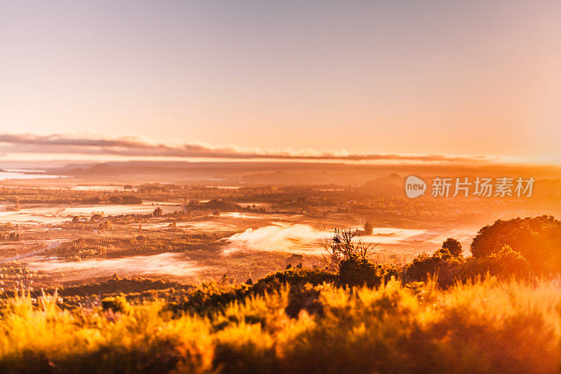 早晨的太阳照在新西兰的风景上