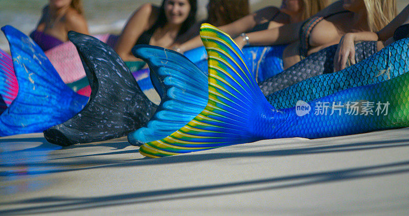 一群长着美人鱼尾巴的女人在热带海滩上摆姿势