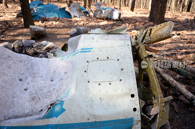 树林里的飞机残骸