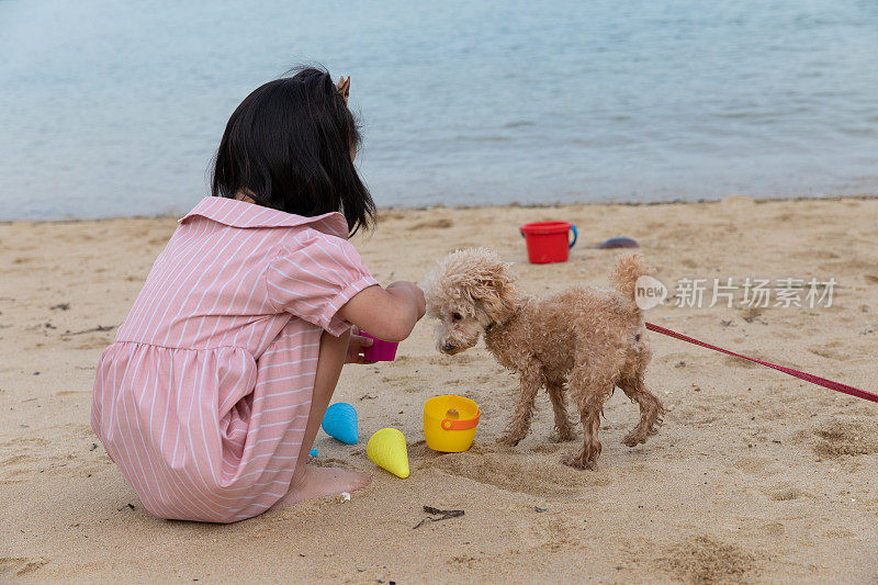 女孩和狗在沙滩上玩耍