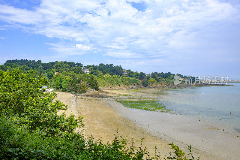 在海滩之间的松树，布列塔尼，法国