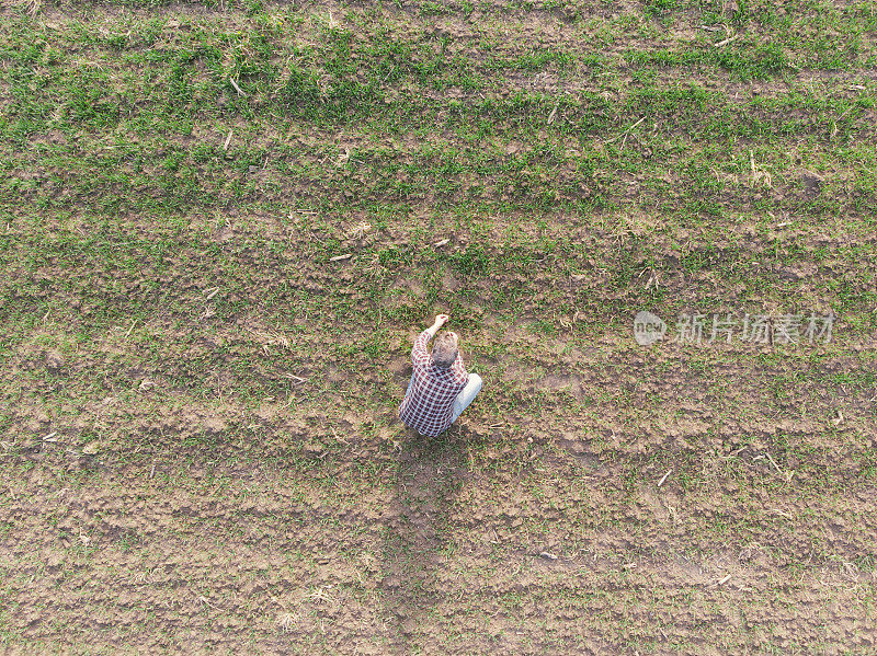 英俊的成年农民在早春视察他的小麦苗圃。鸟瞰图。