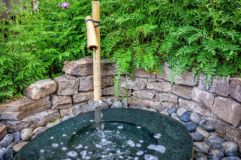 日本的净化喷泉，水从传统的日本风格的龙头流出，绿色植物和在寺庙神社的岩石墙花园