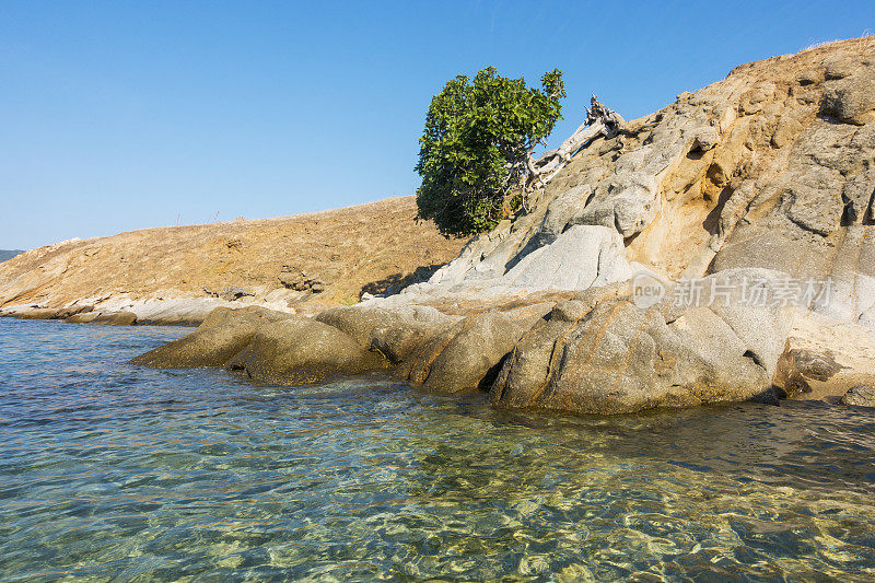 希腊，哈尔基迪基，艾诺兹岛(乌拉努波利-阿索斯)的岩石海滨
