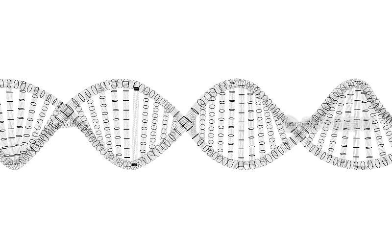 近距离观察螺旋DNA分子