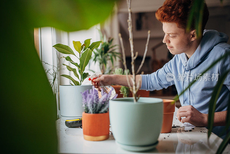 红发少年在家里浇灌室内植物