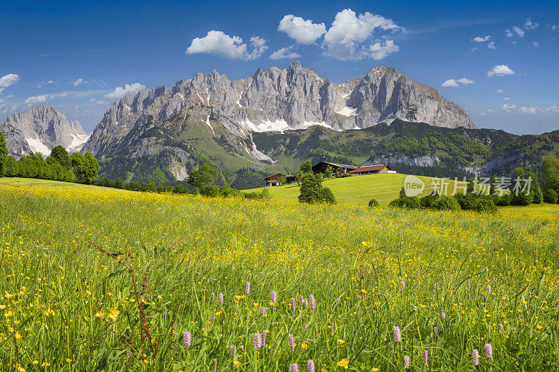田园诗般的高山风景，在怀尔德凯泽前的农舍，奥地利，泰洛-凯泽山脉