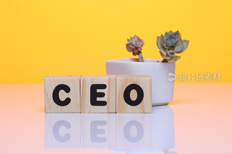 黄色背景的木块上写着CEO的字