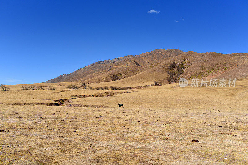 干燥的山地景观