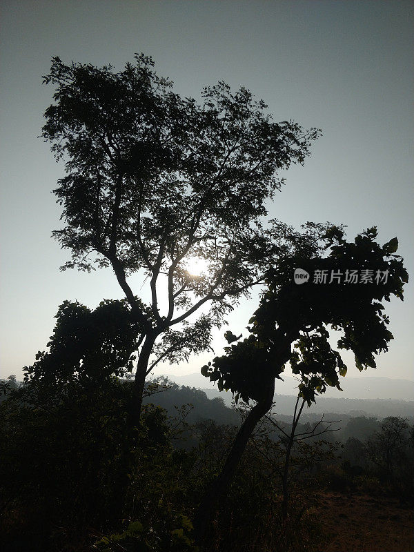 在拉贾斯坦邦昆巴加尔，日出前山顶上美丽的雾的照片