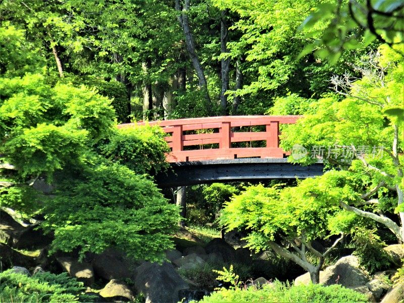 日本。四月里晴朗的一天。公园里的红色人行天桥。