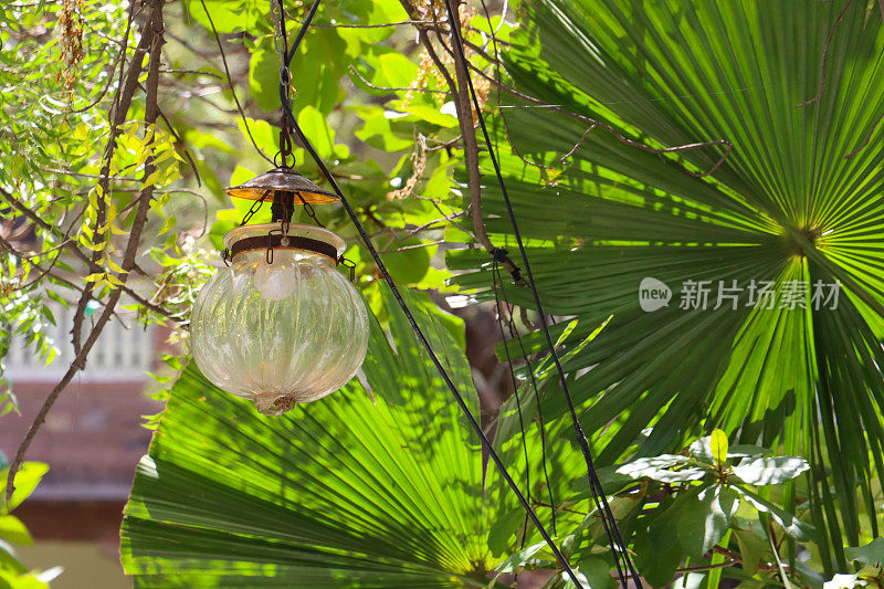 户外玻璃的图像，吊坠灯罩挂在一个链从树枝，树叶和细枝，阳光明媚的蓝天背景，从下面看
