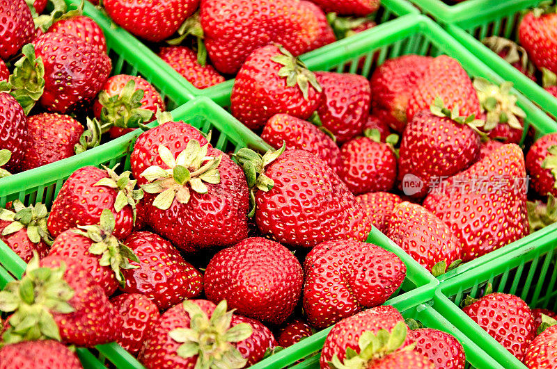 农贸市场展出的草莓