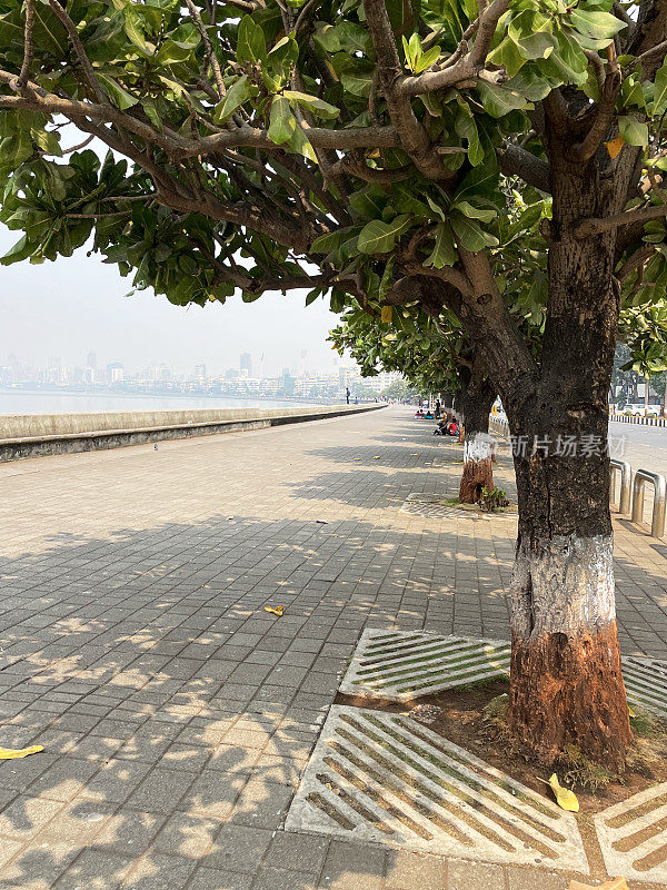 印度孟买海滨大道上的一排印度国旗颜色，橙色，白色和绿色的树干的特写图像，混凝土海堤海岸管理，块状铺砌的人行道，海水，c形长廊，建筑物，摩天大楼