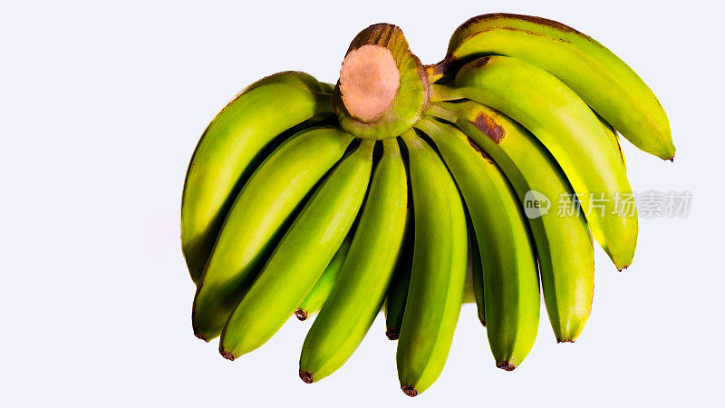 芭蕉果，芭蕉(AAA组)葵红蕉，芭蕉，白底，孤立
