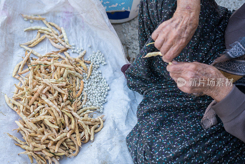 特写:一位年长的安纳托利亚妇女在一个村庄的花园里清洗白芸豆