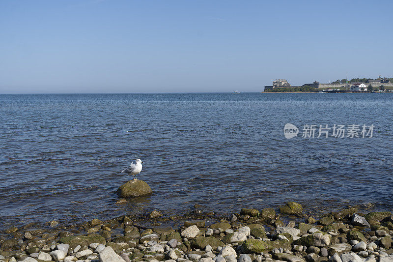 从湖上的尼亚加拉眺望安大略湖