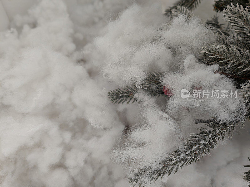 白雪覆盖的圣诞树