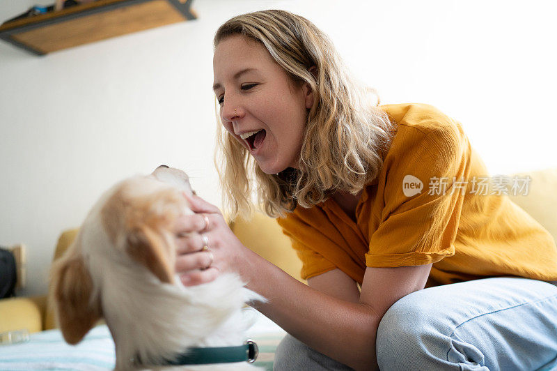 女人，狗和快乐在家里与爱，联系和照顾一起在客厅。宠物，动物和支持的微笑和放松的房子与小狗和抓在沙发上的休息室准备玩