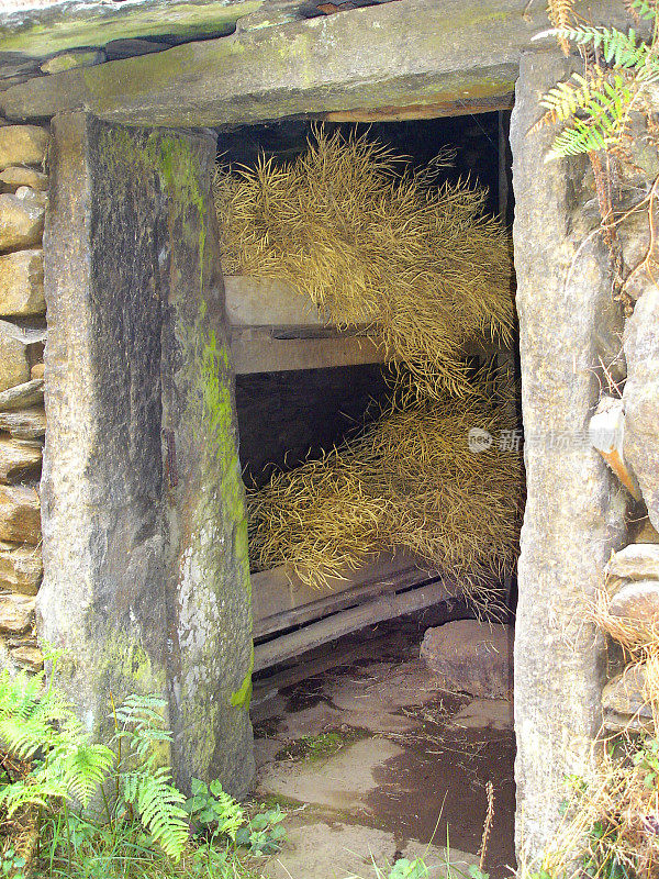 透过旧门可以看到一捆捆的稻草架子