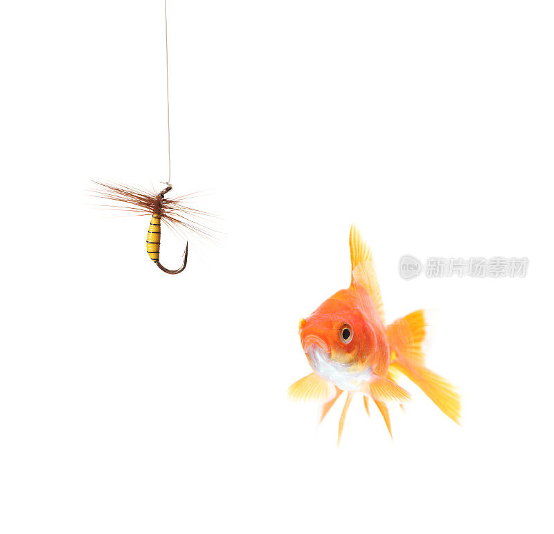 金鱼和鱼钩