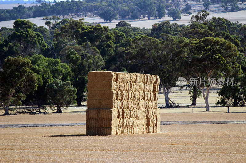 干草堆在澳大利亚农村农场，澳大利亚景观