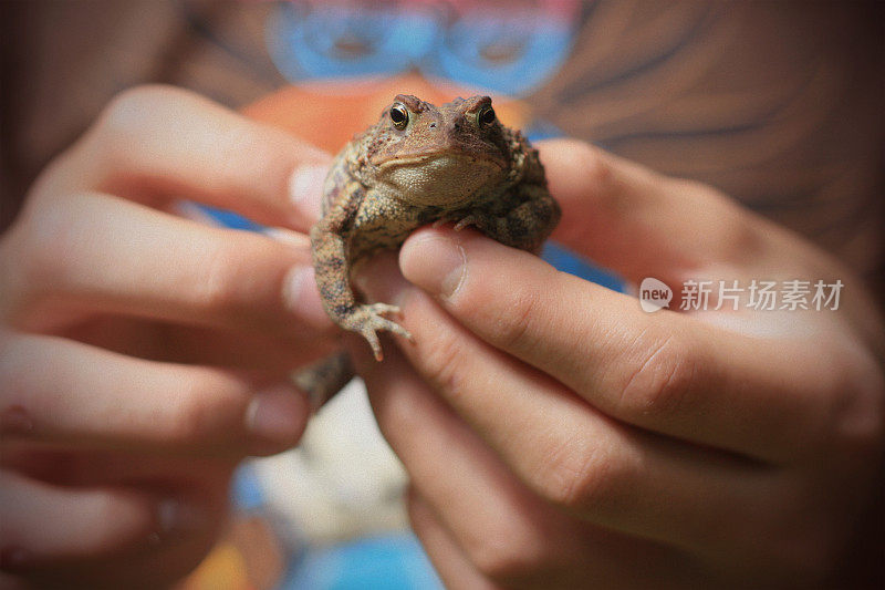 小男孩抱着一只小青蛙