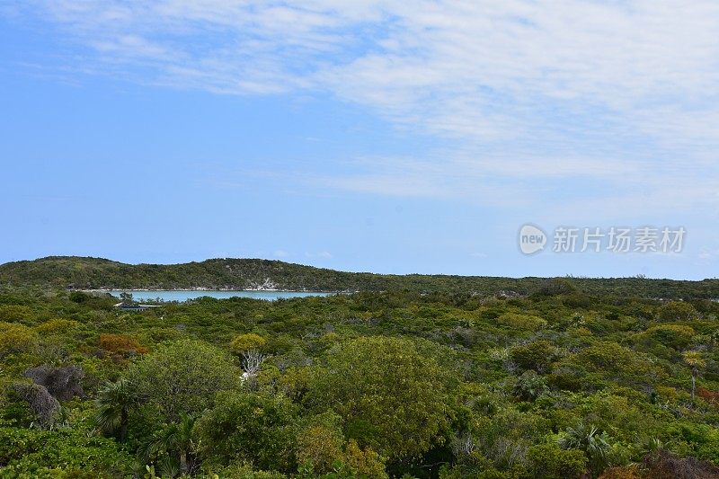 大特克巴哈马