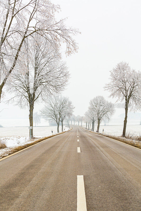 雪地上行驶的道路