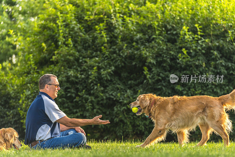 日落时分，一个人和他的狗在玩接球游戏