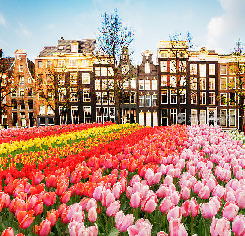 荷兰阿姆斯特丹的房屋
