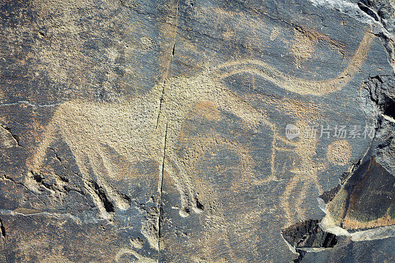 哈萨克斯坦坦加里的古岩画