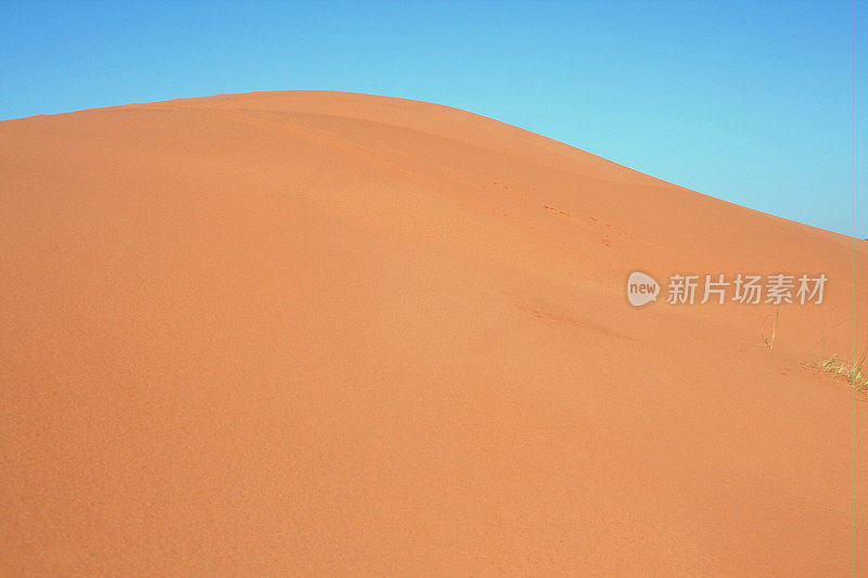 沙丘的背景