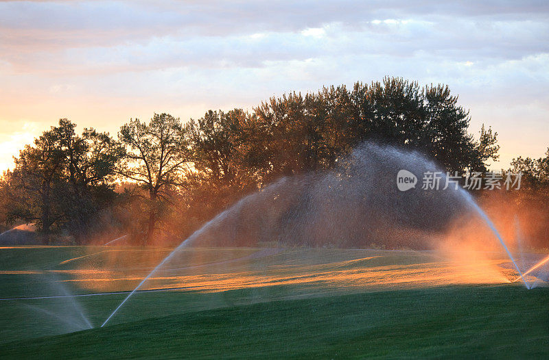 用洒水系统给高尔夫球场浇水