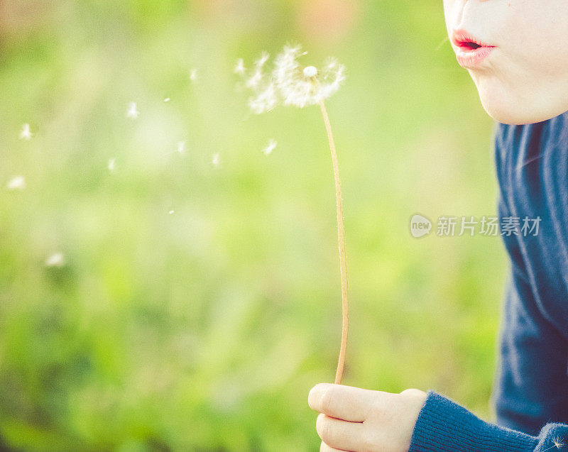 女孩吹蒲公英的种子