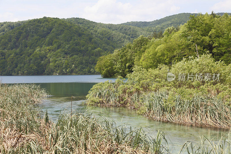 从蓝色小溪到绿松石般的森林湖克罗地亚Plitvice